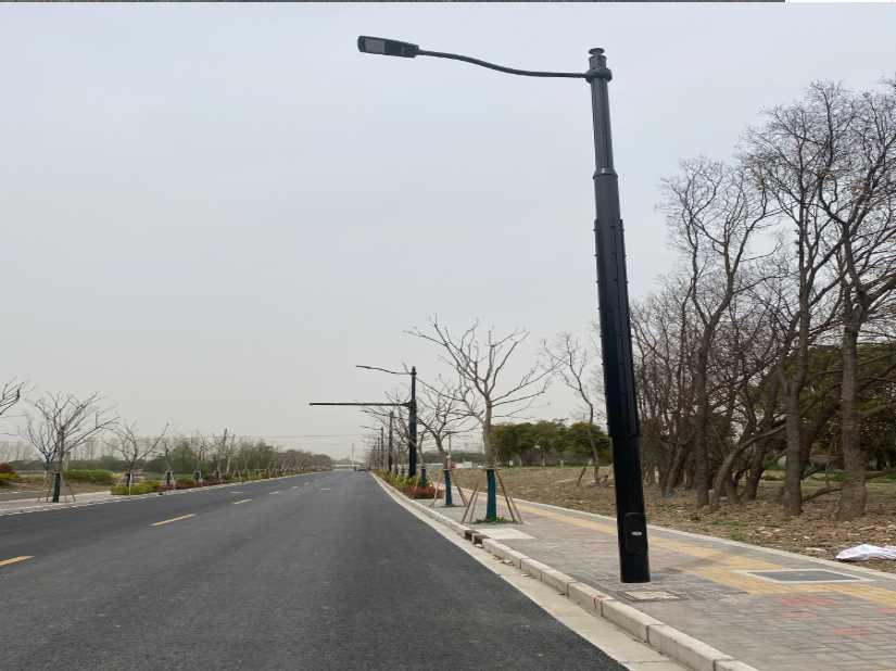 大悟县上海综合杆 太阳能路灯工程